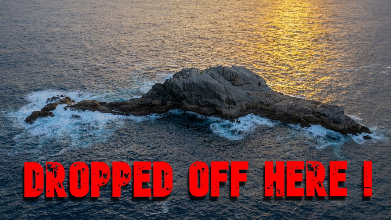 ВЫСАДИЛИСЬ ЗДЕСЬ ЛОВИТЬ РЫБУ!