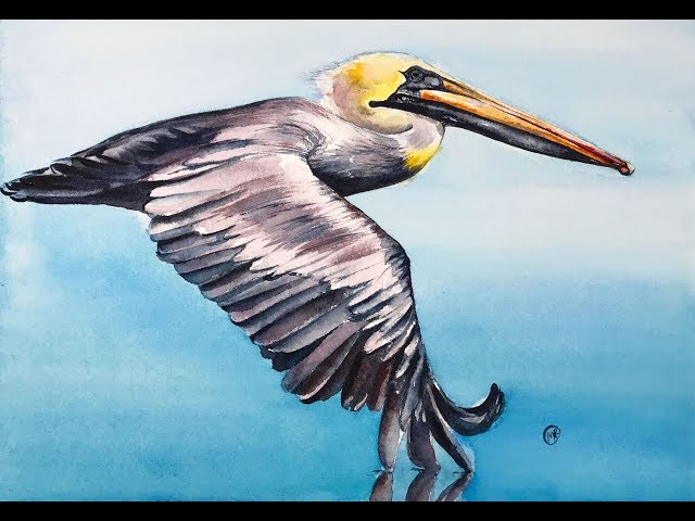 Flying Pelican in Watercolors Painting Tutorial