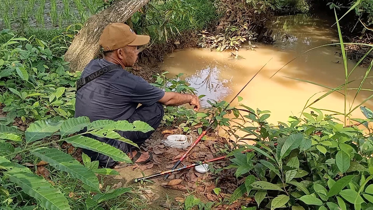 TASYA ROSMALA - KEHILANGAN, SEBUJUR BANGKAI || OM ADELLA FULL ALBUM TERBARU 2025