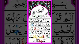 SURAH AL-FIL AGZON IBRAHIM #egzonibrahimi #surahfil #fil #quran #islam #islamic