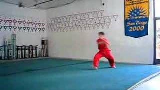 Details Wang Wei Practicing Staff Guide