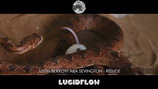 Justin Berkovi aka Sevington - Relude [Lucidflow] on Bandcamp (official Lucidflow shop)
