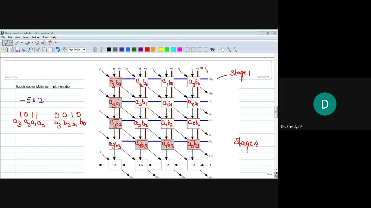 Baugh wooley mulitplier video