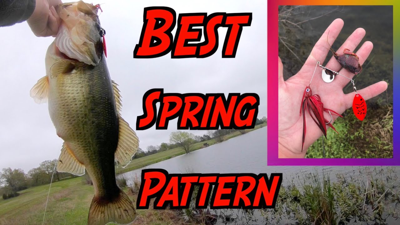 How to Match the Hatch and Catch GIANT BASS! (Crawfish Pattern) YouTube