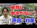 植物が全く成長しない時の原因と対処法をお伝えします