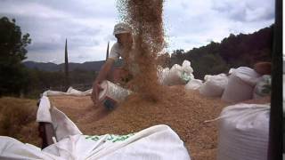 Mileta Kombajner Sa Rudnika