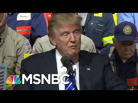 Robert Mueller Questioned Companies That Paid Michael Cohen | All In | MSNBC