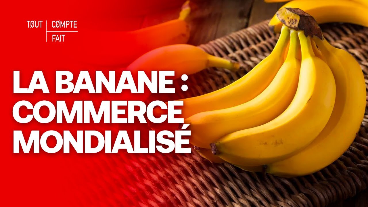 BANANE : la face CACHÉE d'un commerce MONDIAL - Tout Compte Fait