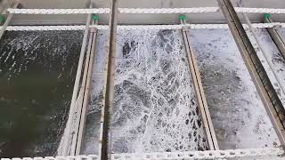 Installation of a DAF system for the treatment of wastewater from a fur industry | SIGMADAF by SIGMADAF Clarifiers - Wastewater Solutions 2,369 views 2 years ago 1 minute, 20 seconds