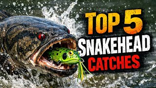 Top 5 Snakehead Catches 2025