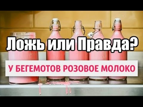 10 шокирующих фактов, которые звучат как ложь, но это правда