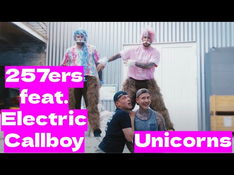 257ers feat. Electric Callboy - Unicorns ~ Reaction