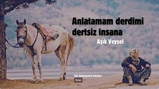 Aşık Veysel Anlatamam Derdimi Dertsiz İnsana Şiir [Türkü]