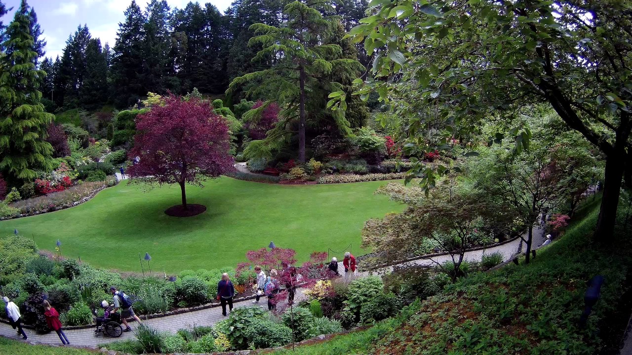 camera iphone 8 plus apk Awesome Butchart Gardens on the Island of Vancouver, near Victoria, British Columbia, Canada