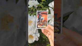 Ошибки новичков в ТАРО #tarot #влог #таро #гадание