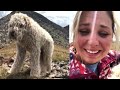 Owner Reunites With Her Dog After Goldendoodle Was Lost in Rocky Mountains