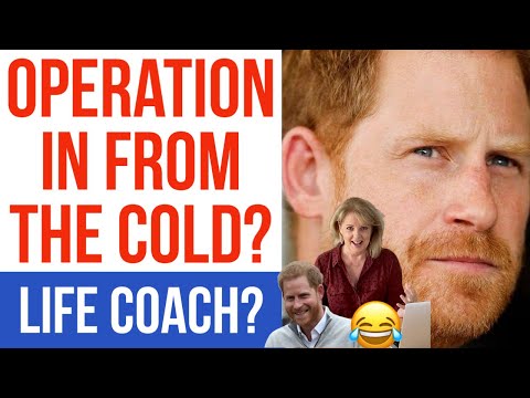 HARRY Wants A Way Back PA? #princeharry #betterup #lifecoach