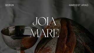 JOIA MARE | Raul Todinca | Harvest Arad