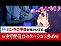 実写で地雷系私服になったらセクハラコメントが止まらなくなってしまう音霊魂子【あおぎり高校/切り抜き】
