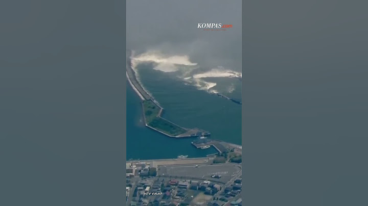 Tsunami Terjang Jepang Usai Gempa M 8,7 di Kamchatka, Rusia