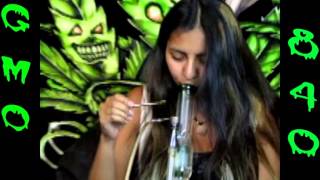 YO DABBA DABBA GMO 840 .3 GLOB