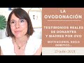 OVODONACIÓN - TESTIMONIOS REALES de MAMÁS por OVO y de DONANTES de ÓVULOS  |  Suddenly This