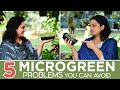 5 Microgreen problems you can avoid | Healthier greens | #growyourgreens #superfood #microgreens