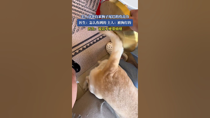 主人分享自家狗子尾巴的攻擊力 醫生：怎麼傷到的？主人：被狗打的！醫生：說話不要帶情緒！#shorts#news#headlines#hotspots