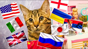 Как зазывают кошек в разных странах?