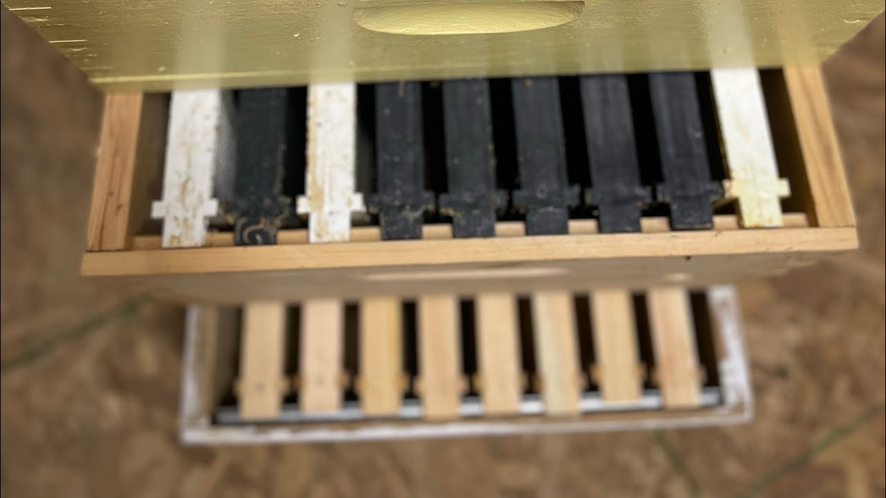 Выбор между 8, 9 или 10 рамками в улье