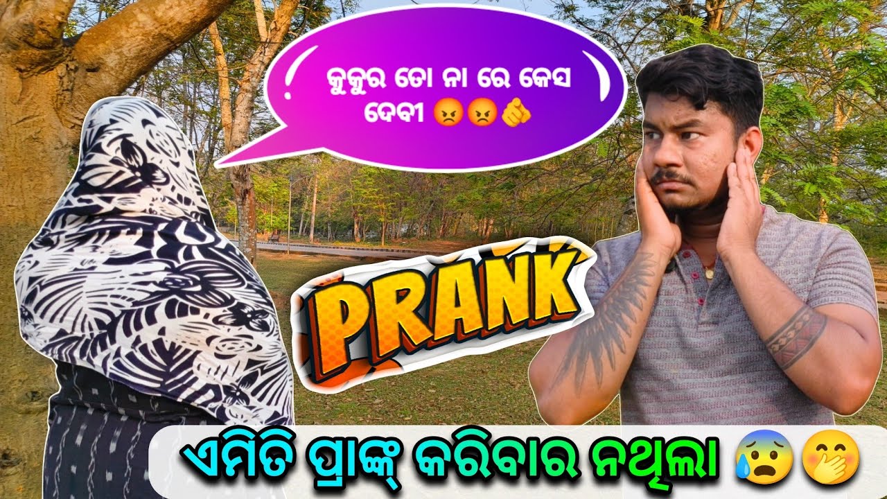 ଏମିତି ପ୍ରାଙ୍କ କରିବାର ନଥିଲା #mrsangramodiavlogs ..