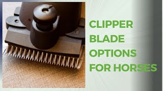 Horse clipping tips  you have blade options!
