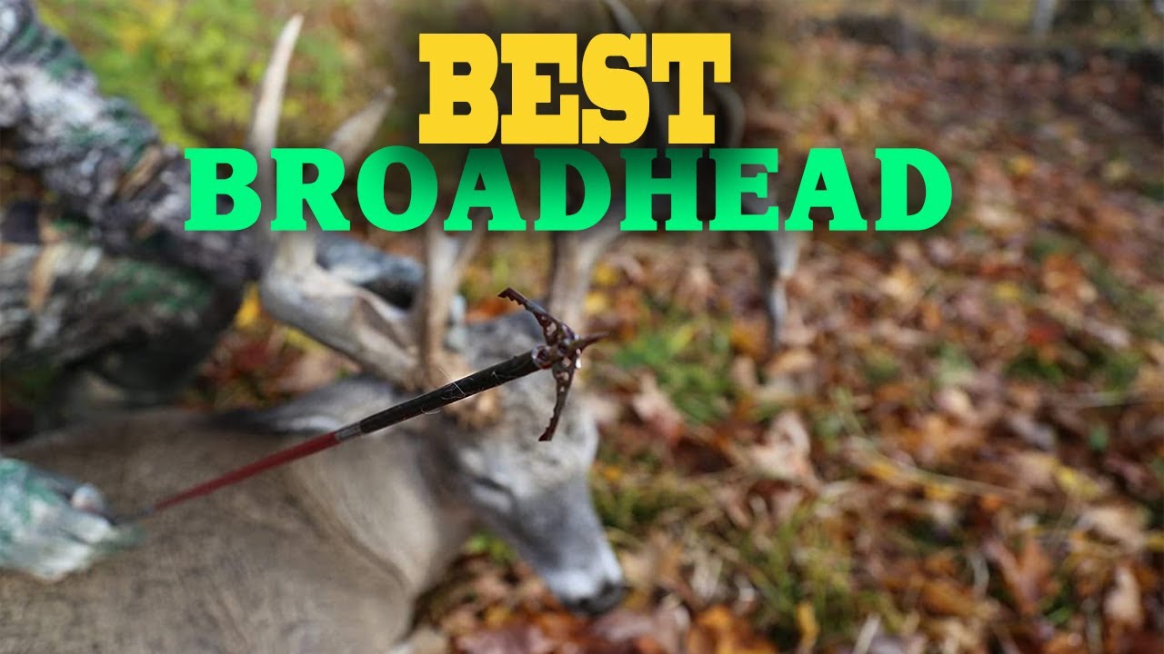 Broadhead Top 5 Best Broadheads in 2022. YouTube