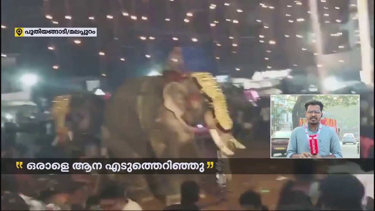 പുതിയങ്ങാടിയിൽ നേർച്ചയ്ക്കിടെ  ആന ഇടഞ്ഞു; ഒരാളെ എടുത്തെറിഞ്ഞു | Malappuram