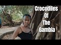 We Went To Kachikally Crocodile Pool In The Gambia