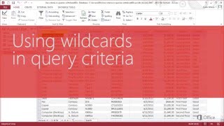 Chap 08 04 Using wildcards in query criteria