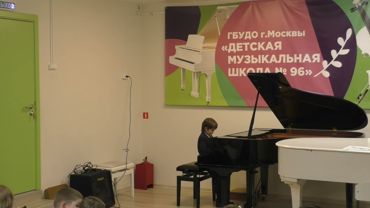 Дмш 96
