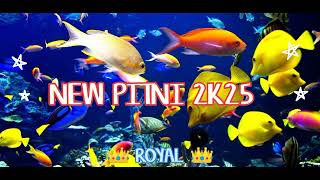 NEW PITNI 2K25 | HARD MUSIC🔥 | /👑SALMAN MALEK👑\