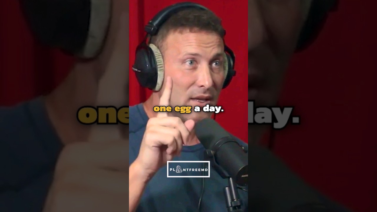 1 яйцо в день для улучшения работы мозга!