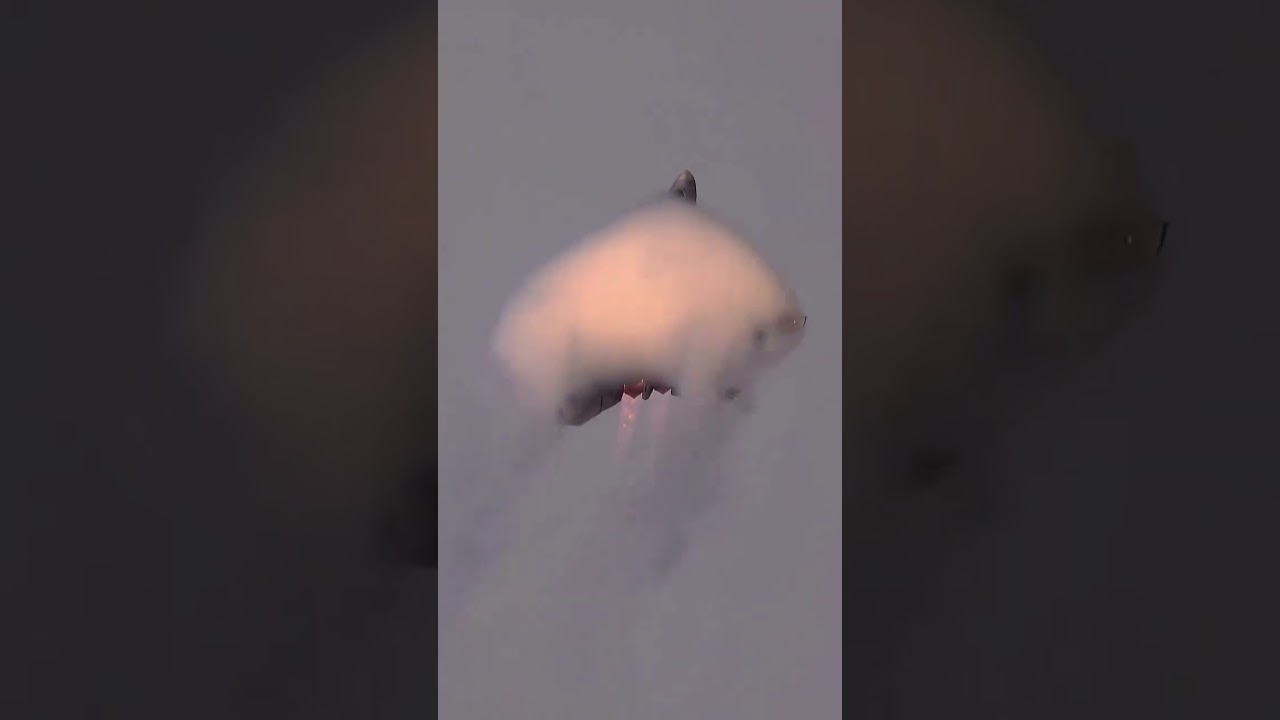 🎥 An F-22 Raptor activating its cloaking device with a vertical lift-off.