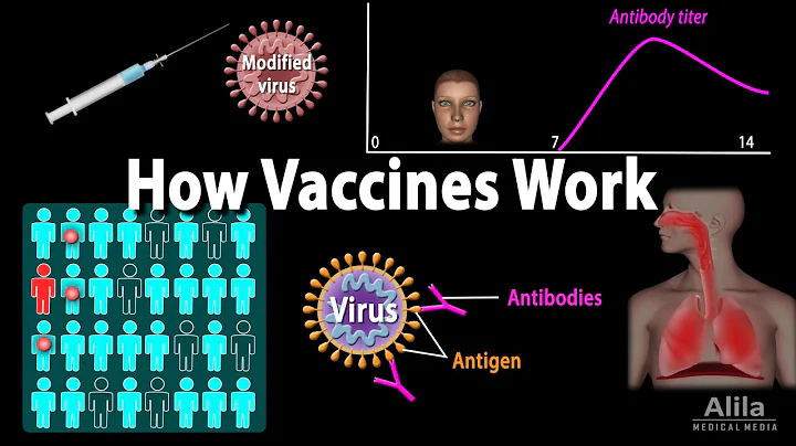 How Vaccines Work, Herd Immunity, Types of Vaccines, Animation - DayDayNews