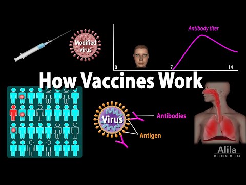 Vidéo: Immuno - Mode D'emploi, Indications, Doses