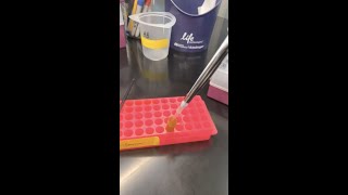 Mounting Mouse Brain Sections ASMR