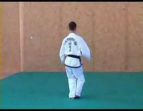 ITF Taekwon Do Patterns 6 of 14 Won Hyo