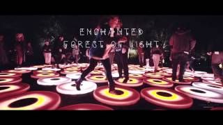 Descanso Gardens Enchanted Forest of Light  Zhiyun Crane