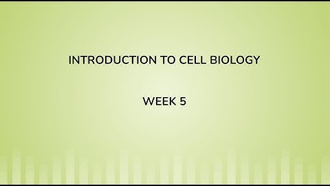 Week 5: NPTEL - Introduction to Cell Biology ( Live Interaction Session)