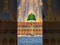 نبی کا نام کافی ہے ؟ ☝️#muhammad #madina #naat #status #shortsfeed #shorts #whatsapp_status #viral