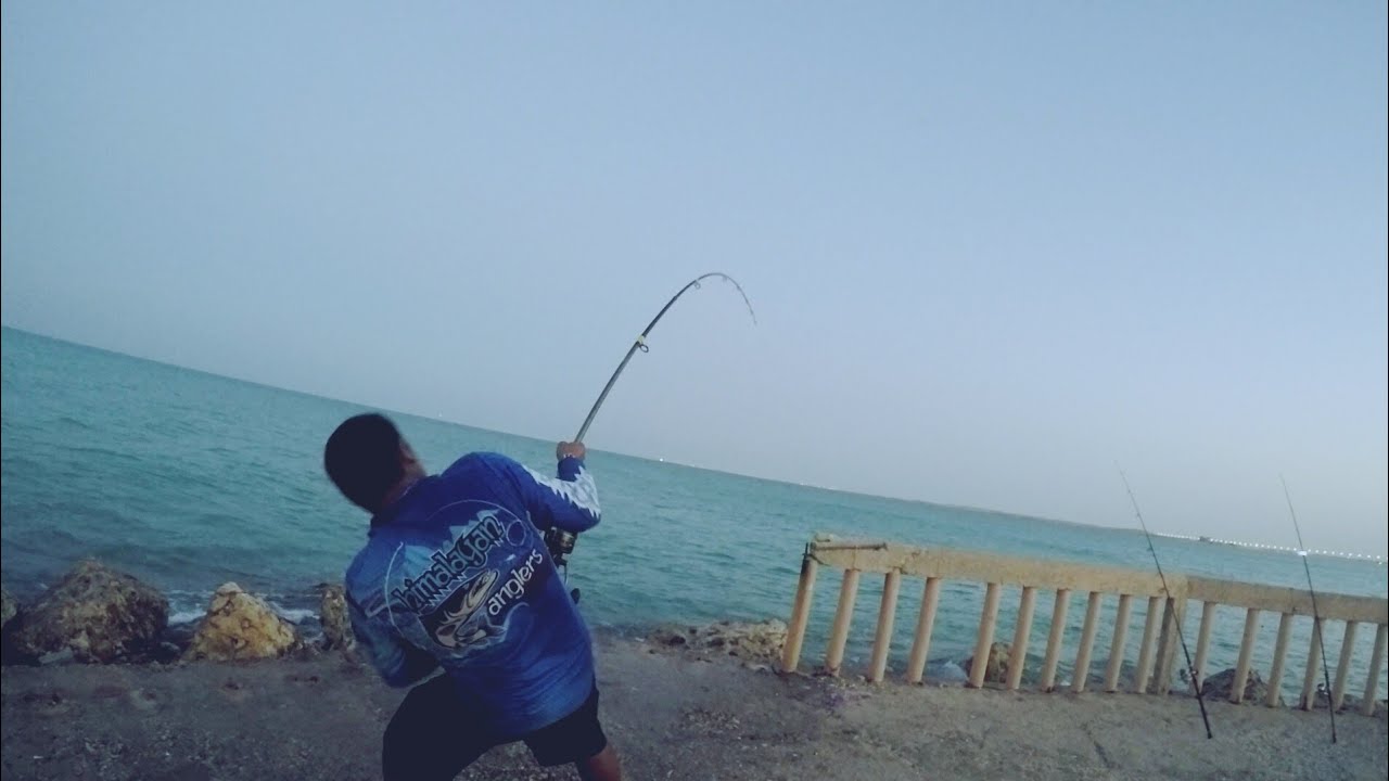 Al-Ghariya Resort | A huge fight || By Himalayan Anglers