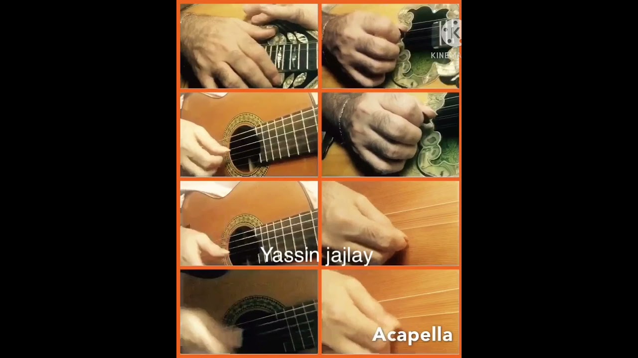 leylimley لەیلم لەیل guitarist bağlama acapellacover bouzouki