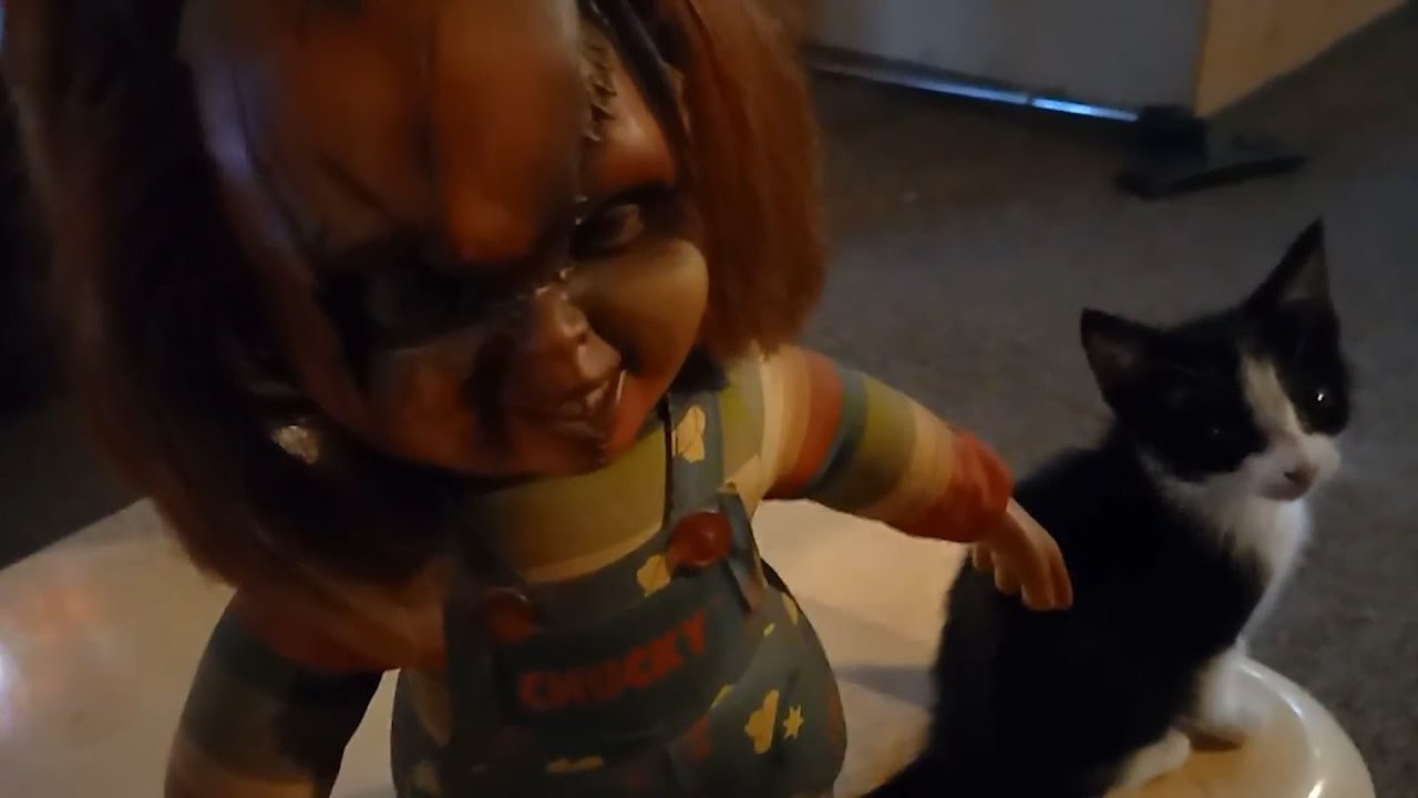 Human I am cat Miss Spock: Star Trek Trip Purrs, scifi horror parody, full movie: By Daniel Fx Staal